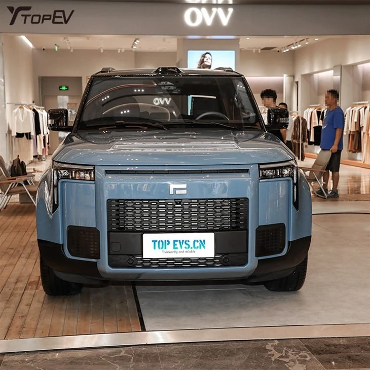 electric car adult high speed