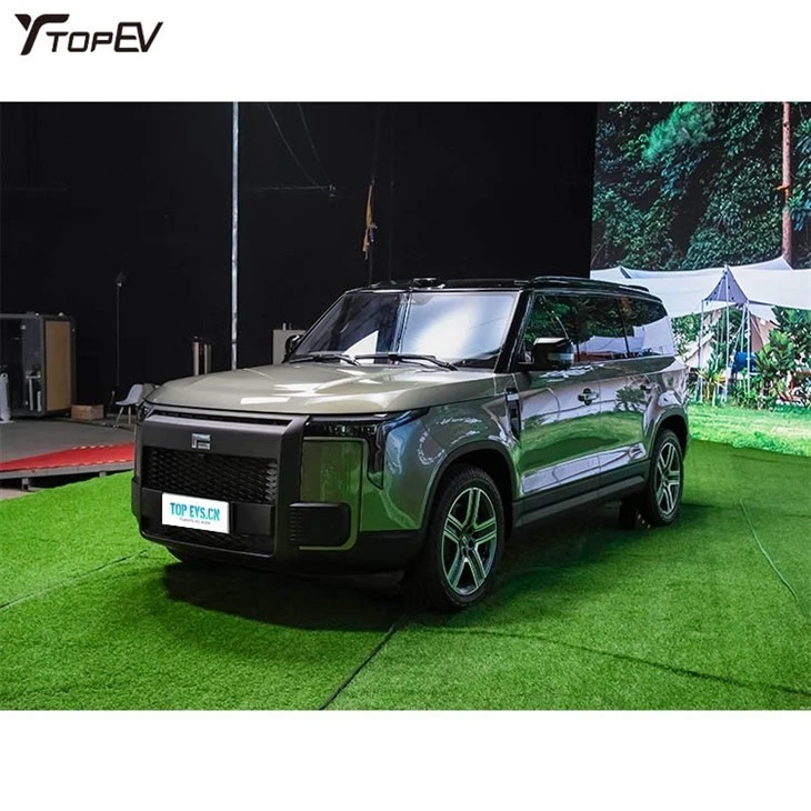 hi speed low price electric car