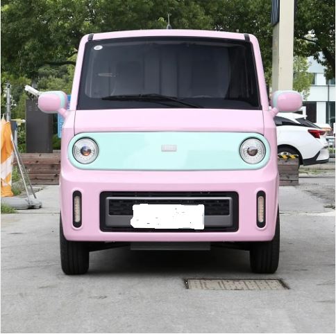 Left Hand Van 2 Seats Electric Car Left Hand Van 2 Seats Electric Car